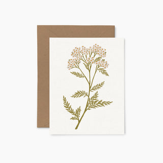 Achillée millefeuille | Carte de souhaits