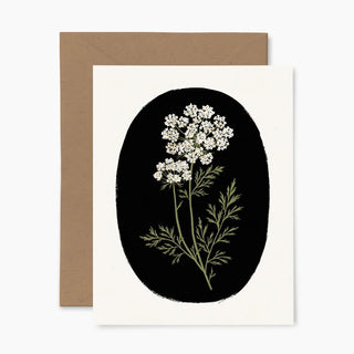 Carotte sauvage | Carte de souhaits