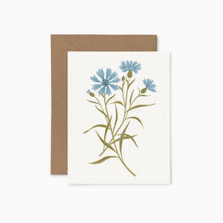 Centautée sauvage | Carte de souhaits